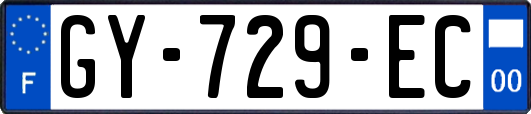 GY-729-EC