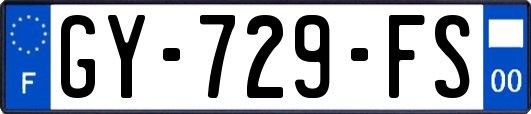 GY-729-FS