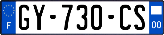 GY-730-CS