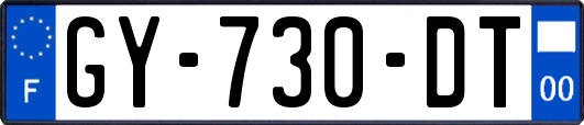 GY-730-DT
