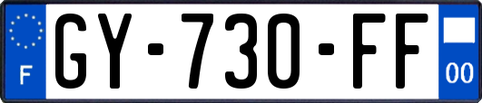 GY-730-FF