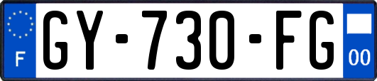 GY-730-FG