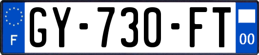 GY-730-FT