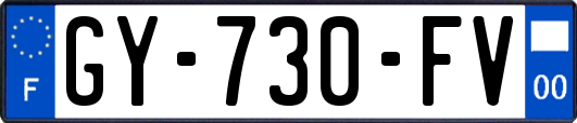 GY-730-FV