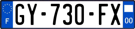 GY-730-FX