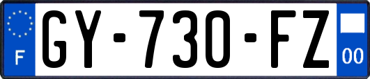 GY-730-FZ