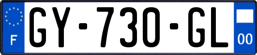 GY-730-GL