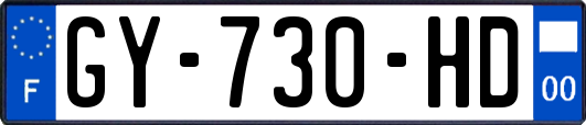 GY-730-HD