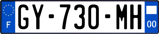 GY-730-MH