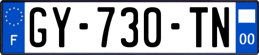 GY-730-TN