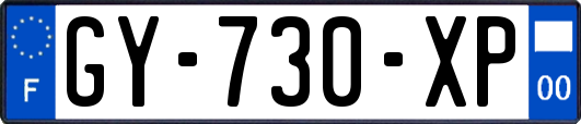 GY-730-XP