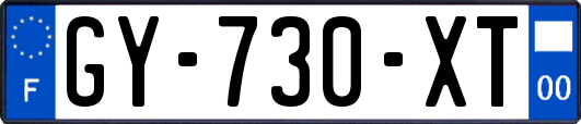 GY-730-XT