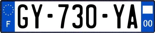 GY-730-YA