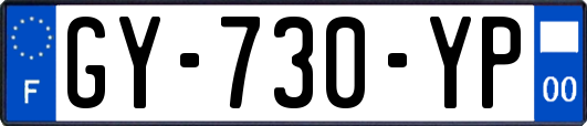 GY-730-YP