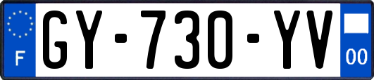 GY-730-YV