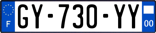 GY-730-YY