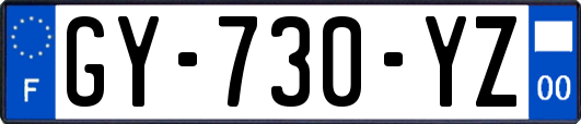 GY-730-YZ