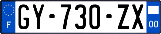 GY-730-ZX