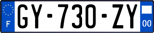 GY-730-ZY
