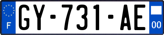 GY-731-AE