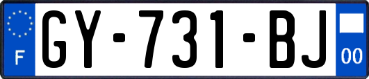 GY-731-BJ