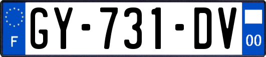 GY-731-DV