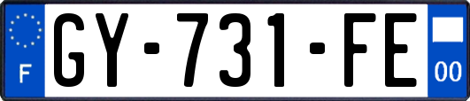 GY-731-FE