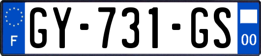 GY-731-GS