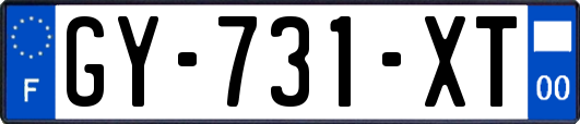 GY-731-XT