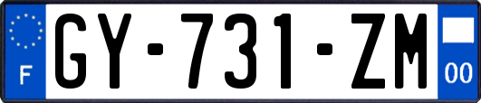 GY-731-ZM
