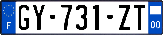 GY-731-ZT