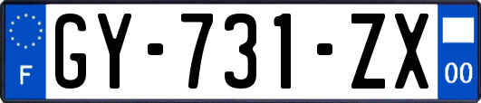 GY-731-ZX