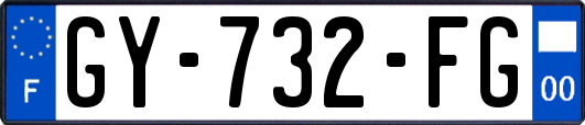 GY-732-FG