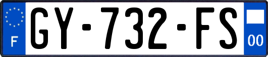 GY-732-FS