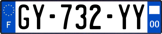 GY-732-YY