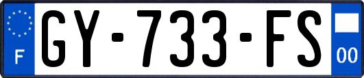 GY-733-FS