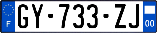 GY-733-ZJ