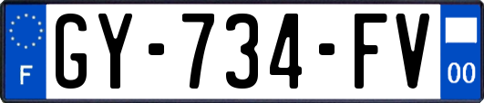 GY-734-FV