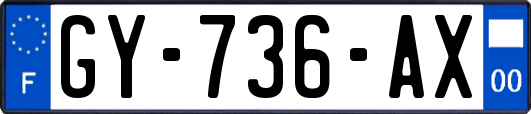 GY-736-AX