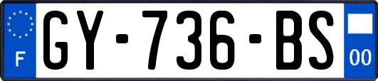 GY-736-BS