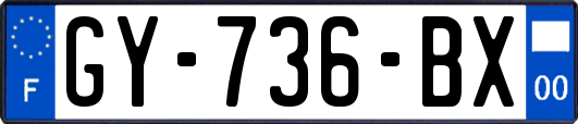 GY-736-BX