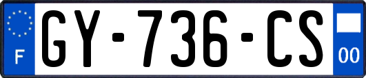 GY-736-CS