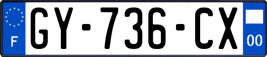 GY-736-CX