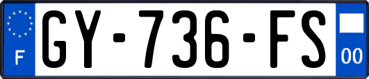 GY-736-FS