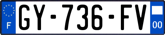 GY-736-FV