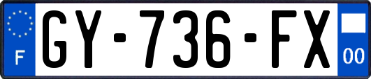 GY-736-FX