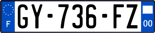 GY-736-FZ