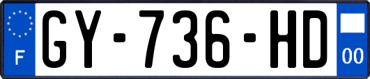 GY-736-HD