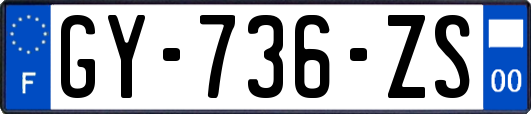 GY-736-ZS