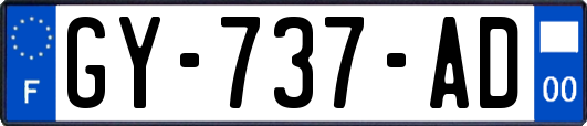 GY-737-AD